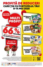 Catalog PROFI Pagină 8