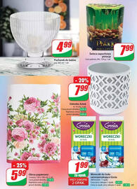 Dino gazetka tydzień 18 Strona 57