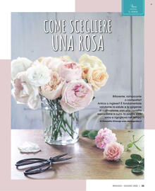 Volantino Pan Pagina 34