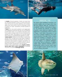 Volantino Pan Pagina 42