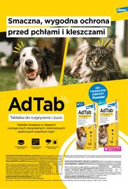 AquaelZOO gazetka Strona 13