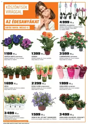 Obi akciós újság (érvényes eddig: 11-05)
