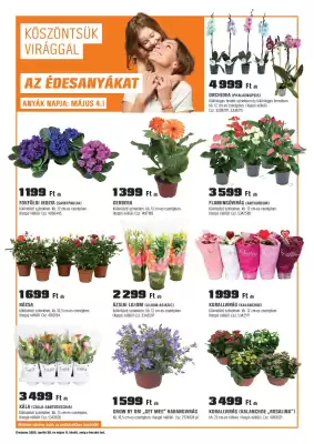 Obi akciós újság (érvényes eddig: 11-05)