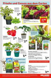 Hellweg Flugblatt woche 18 Seite 25