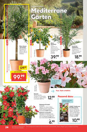 Hellweg Flugblatt woche 18 Seite 26
