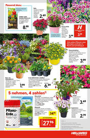 Hellweg Flugblatt woche 18 Seite 27