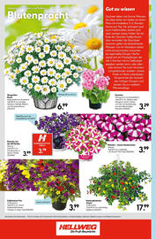 Hellweg Flugblatt woche 18 Seite 28