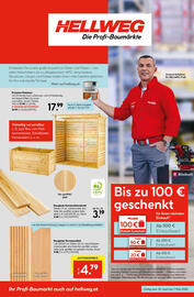 Hellweg Flugblatt woche 18 Seite 3