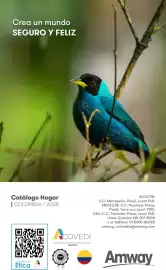 Catálogo Amway Página 57