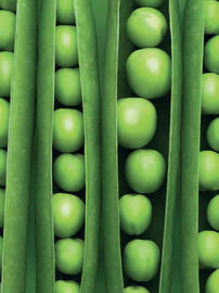 Waitrose leaflet Page 110