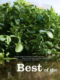 Waitrose leaflet Page 66