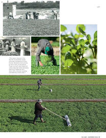 Waitrose leaflet Page 69