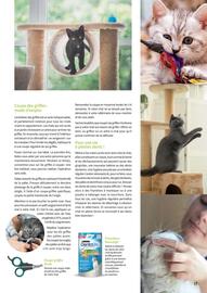 Catalogue Point Vert page 17