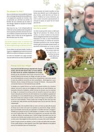 Catalogue Point Vert page 31