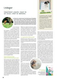 Catalogue Point Vert page 36