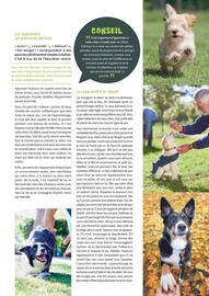 Catalogue Point Vert page 37