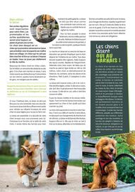 Catalogue Point Vert page 38
