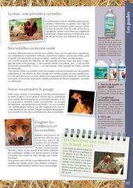 Catalogue Point Vert page 15