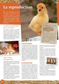 Catalogue Point Vert page 16