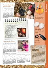 Catalogue Point Vert page 17
