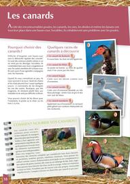 Catalogue Point Vert page 18