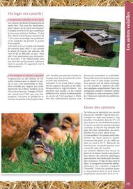 Catalogue Point Vert page 19