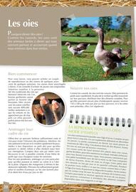 Catalogue Point Vert page 20