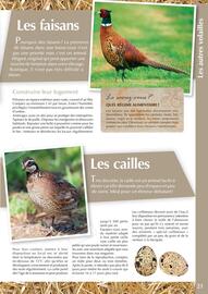 Catalogue Point Vert page 21
