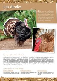 Catalogue Point Vert page 22