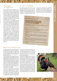 Catalogue Point Vert page 23