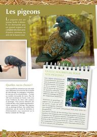 Catalogue Point Vert page 24