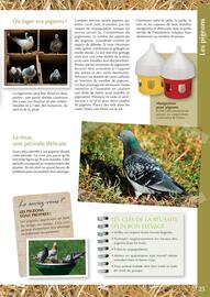 Catalogue Point Vert page 25