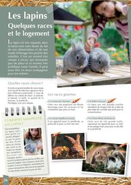 Catalogue Point Vert page 26