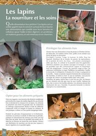 Catalogue Point Vert page 28