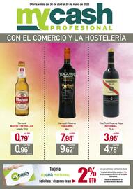 Folleto mycash profesional Página 1