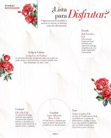Folleto Perfumerías Aromas Página 12
