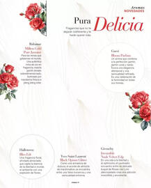 Folleto Perfumerías Aromas Página 15