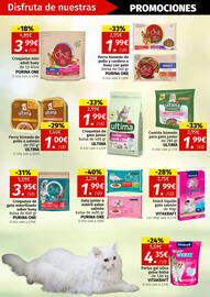 Folleto Maskom Supermercados Página 29