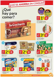 Folleto Consum Página 11