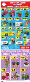 Atlantic Superstore flyer week 18 Page 6
