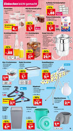 Thomas Philipps Flugblatt woche 19 Seite 13