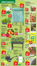 Thomas Philipps Flugblatt woche 19 Seite 5