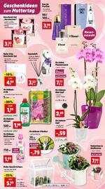 Thomas Philipps Flugblatt woche 19 Seite 9