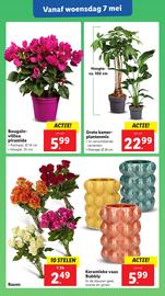 Lidl folder week 19 Pagina 34