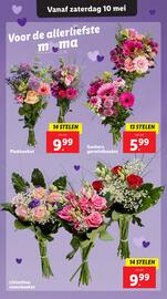 Lidl folder week 19 Pagina 35