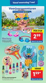 Lidl folder week 19 Pagina 42