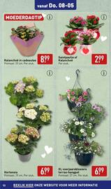 ALDI folder | Tuinspecial Pagina 13