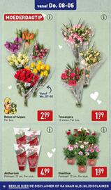 ALDI folder | Tuinspecial Pagina 15