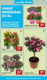 ALDI folder | Tuinspecial Pagina 2