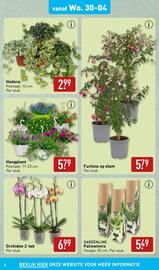 ALDI folder | Tuinspecial Pagina 3